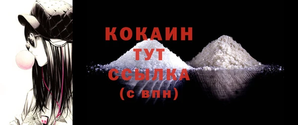 сатива Лабытнанги