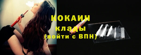 сатива Лабытнанги