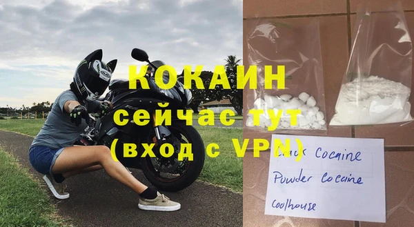 сатива Лабытнанги
