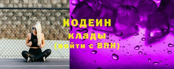 сатива Лабытнанги